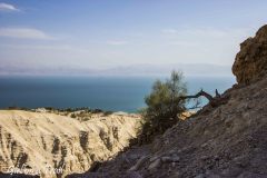 Ein Gedi Nature Reserve