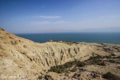 Ein Gedi Nature Reserve