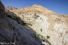 Ein Gedi Nature Reserve