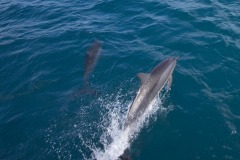 Hawaii - Kaua\'i Island/ Na Pali