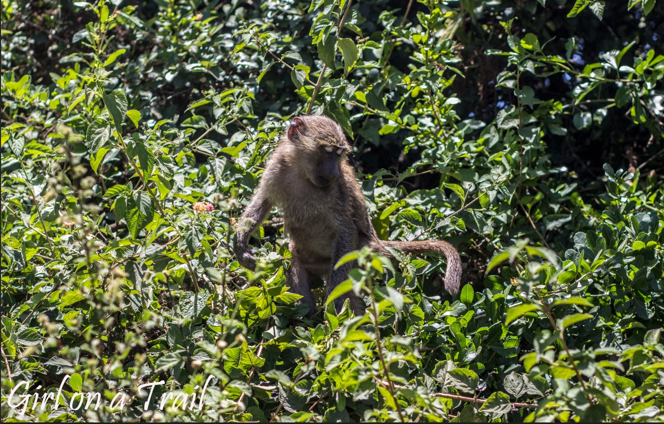 BUD_Kenia-Sept.-2024.260