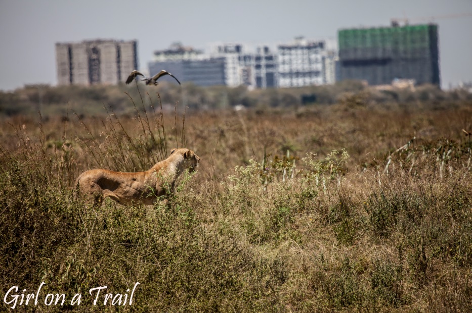 BUD_Kenia-Sept.-2024.546