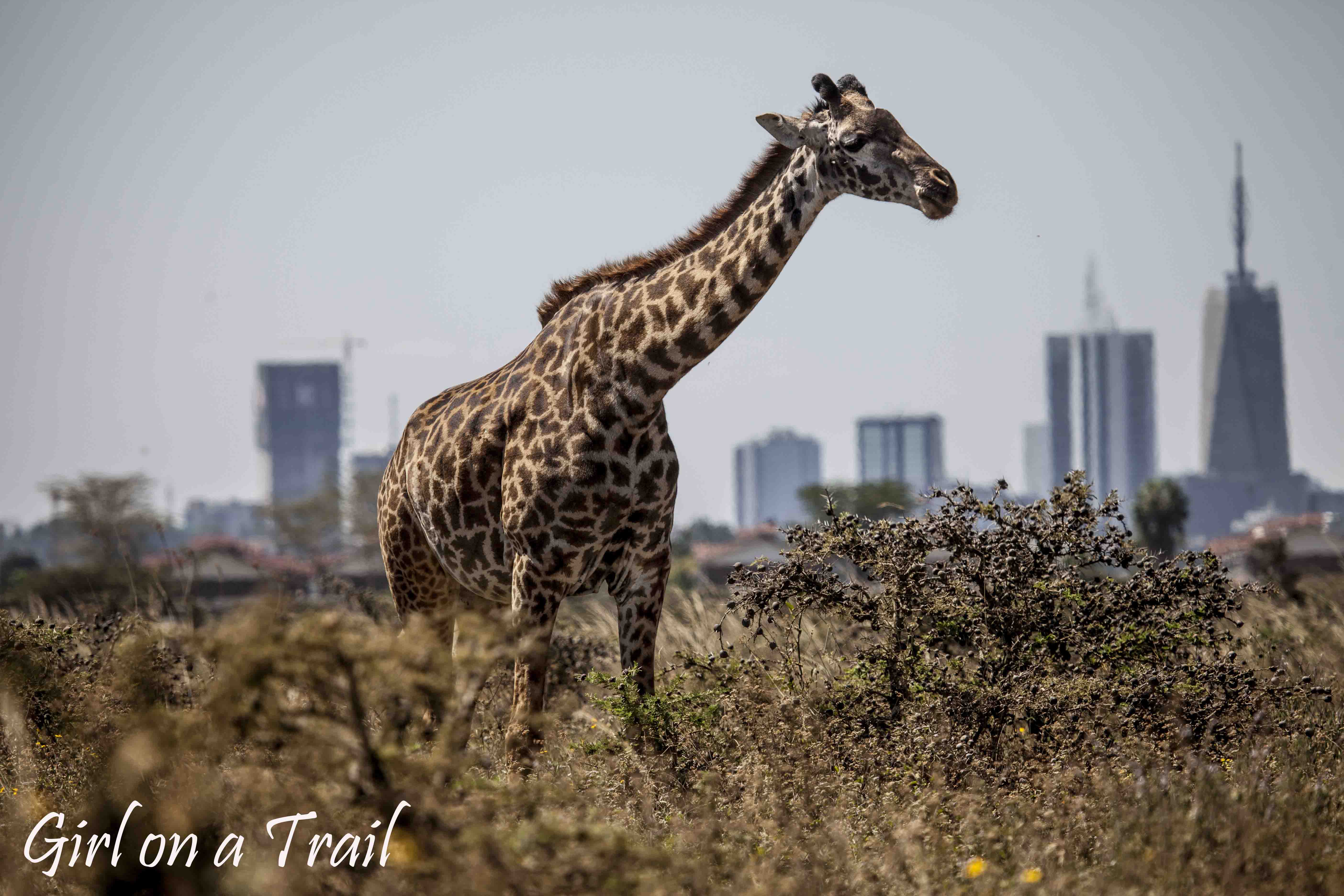 BUD_Kenia-Sept.-2024.549