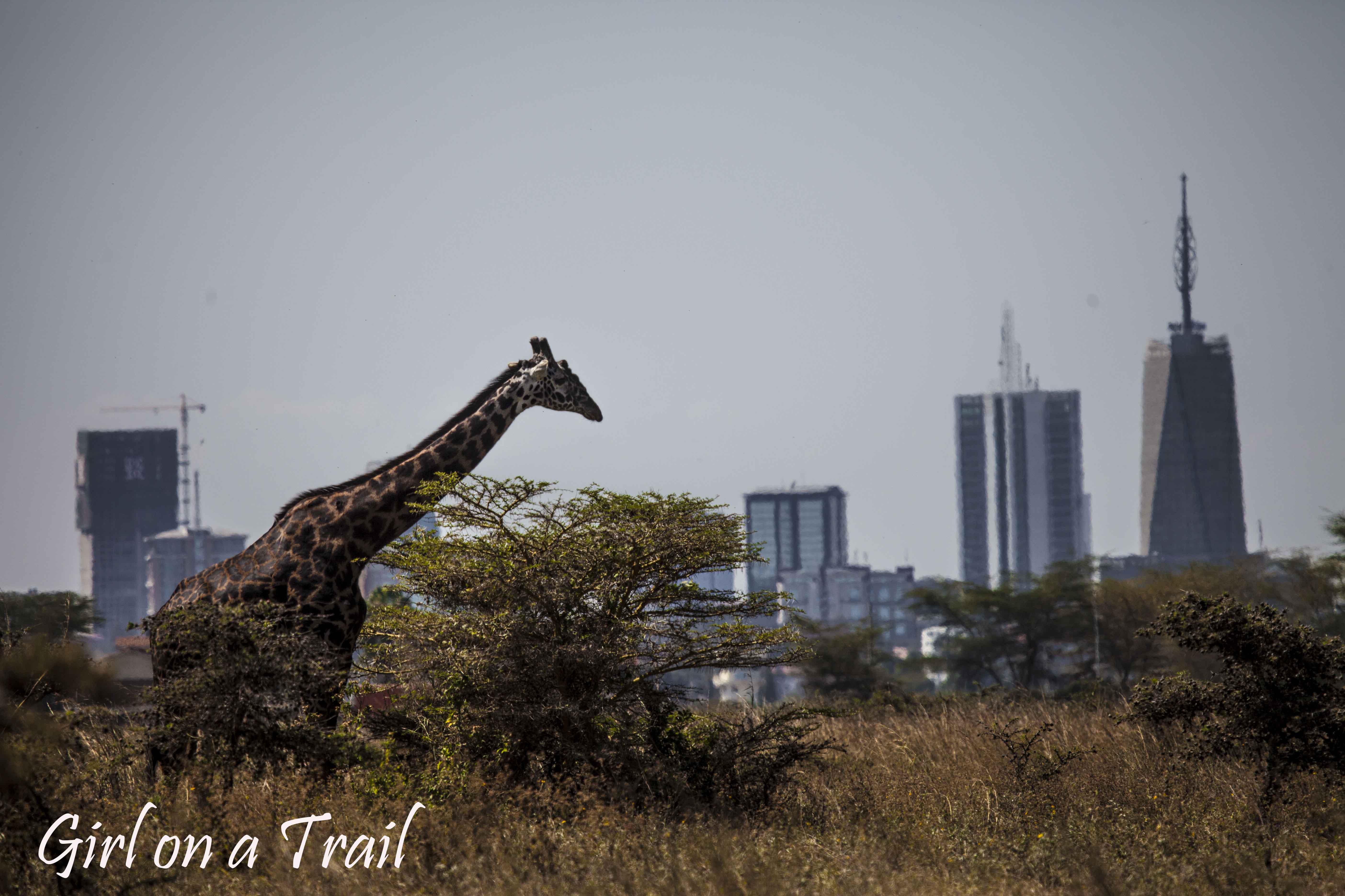 BUD_Kenia-Sept.-2024.551