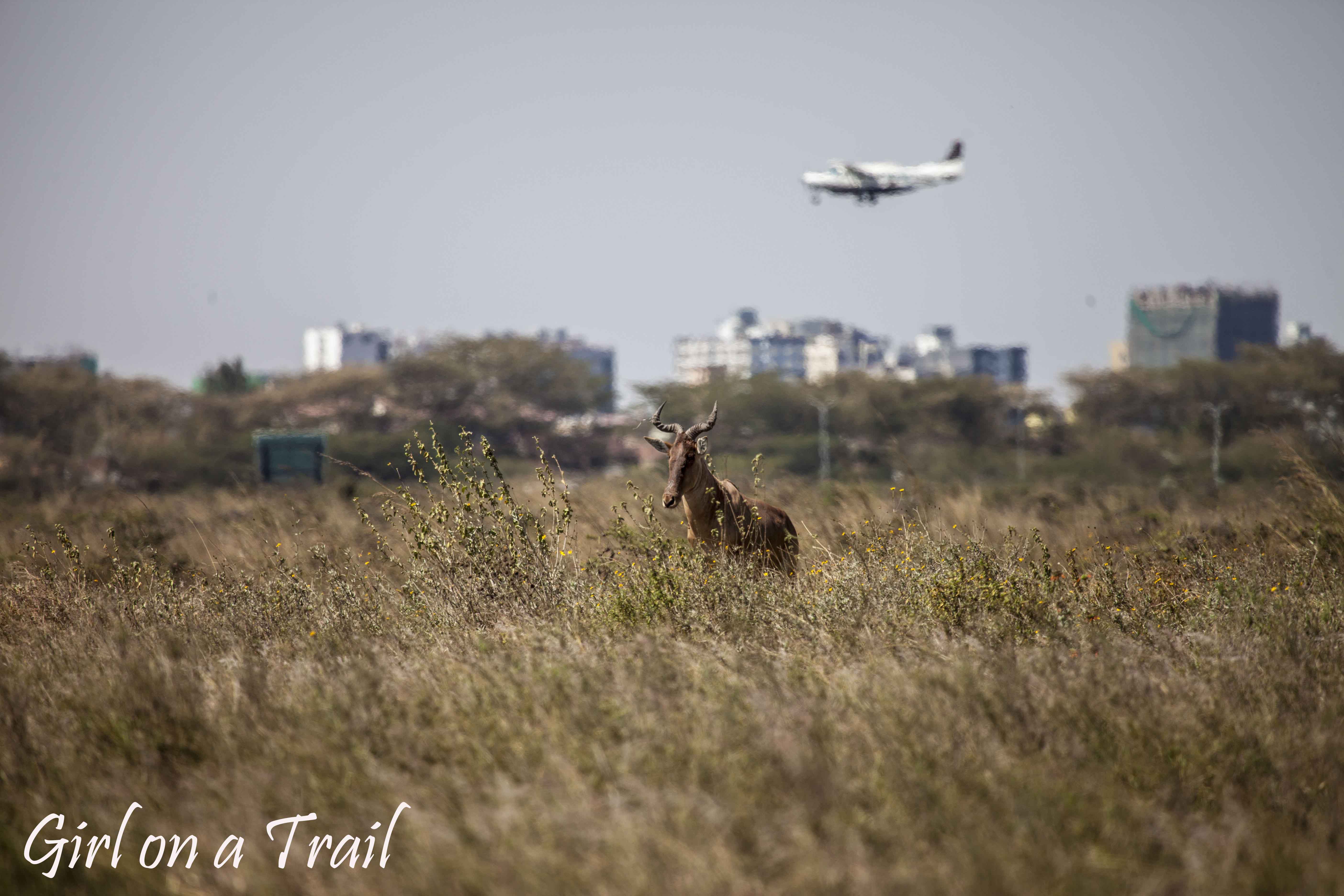 BUD_Kenia-Sept.-2024.552