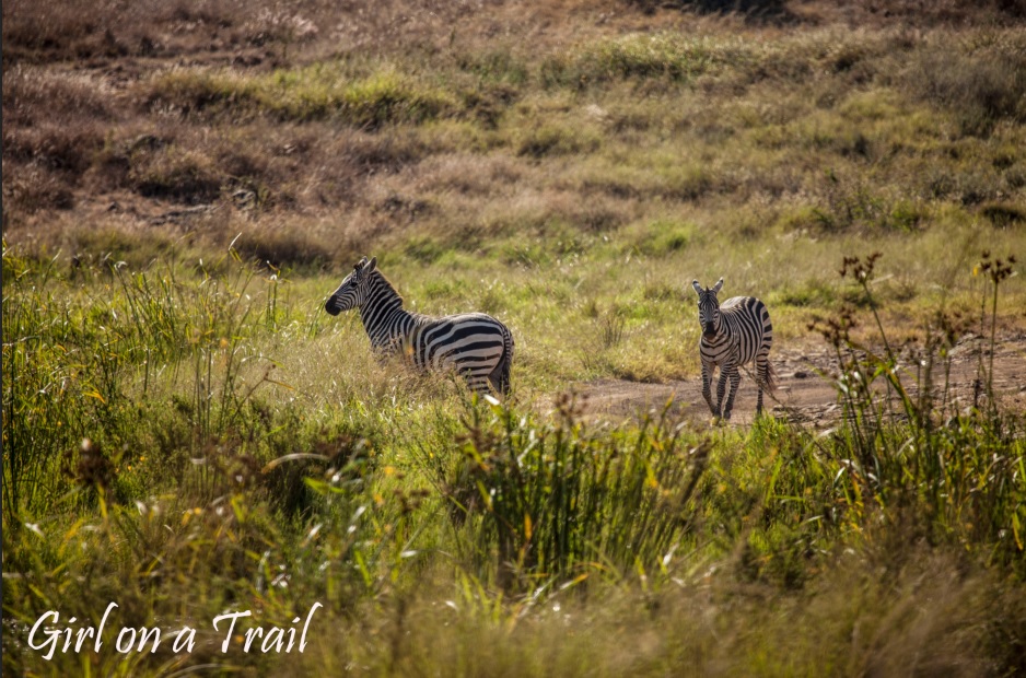 BUD_Kenia-Sept.-2024.553