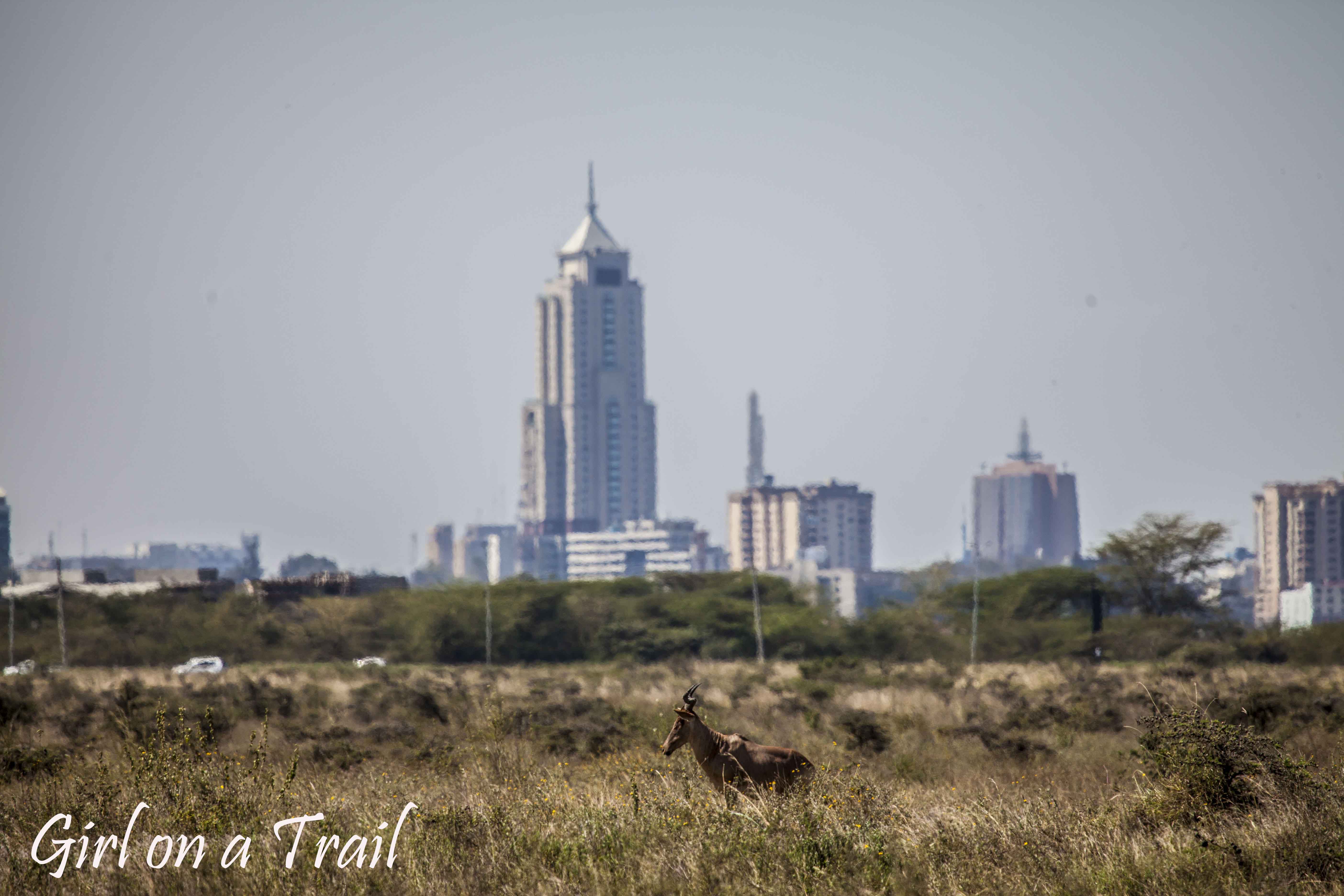 BUD_Kenia-Sept.-2024.554