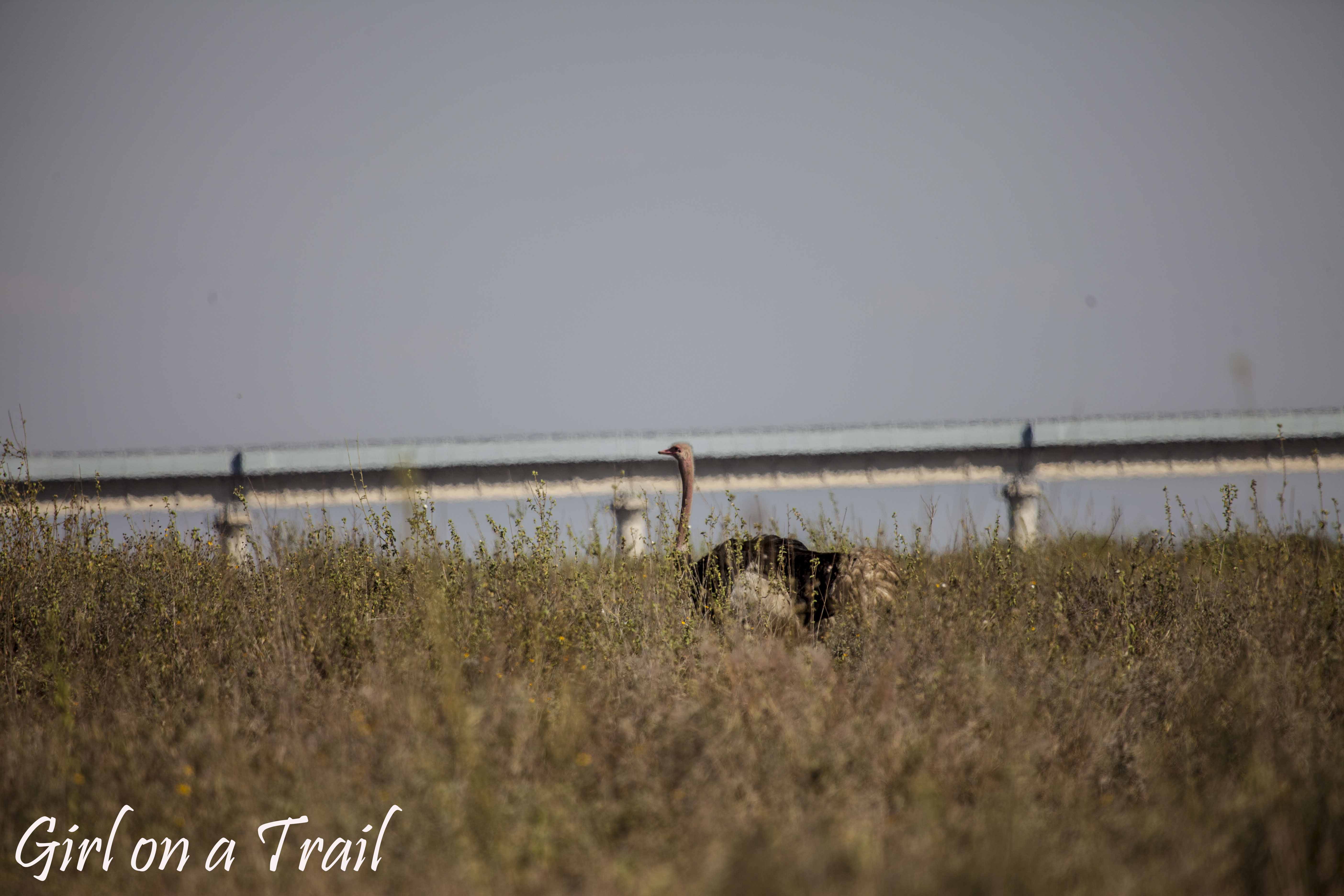BUD_Kenia-Sept.-2024.555