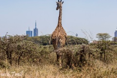 BUD_Kenia-Sept.-2024.258
