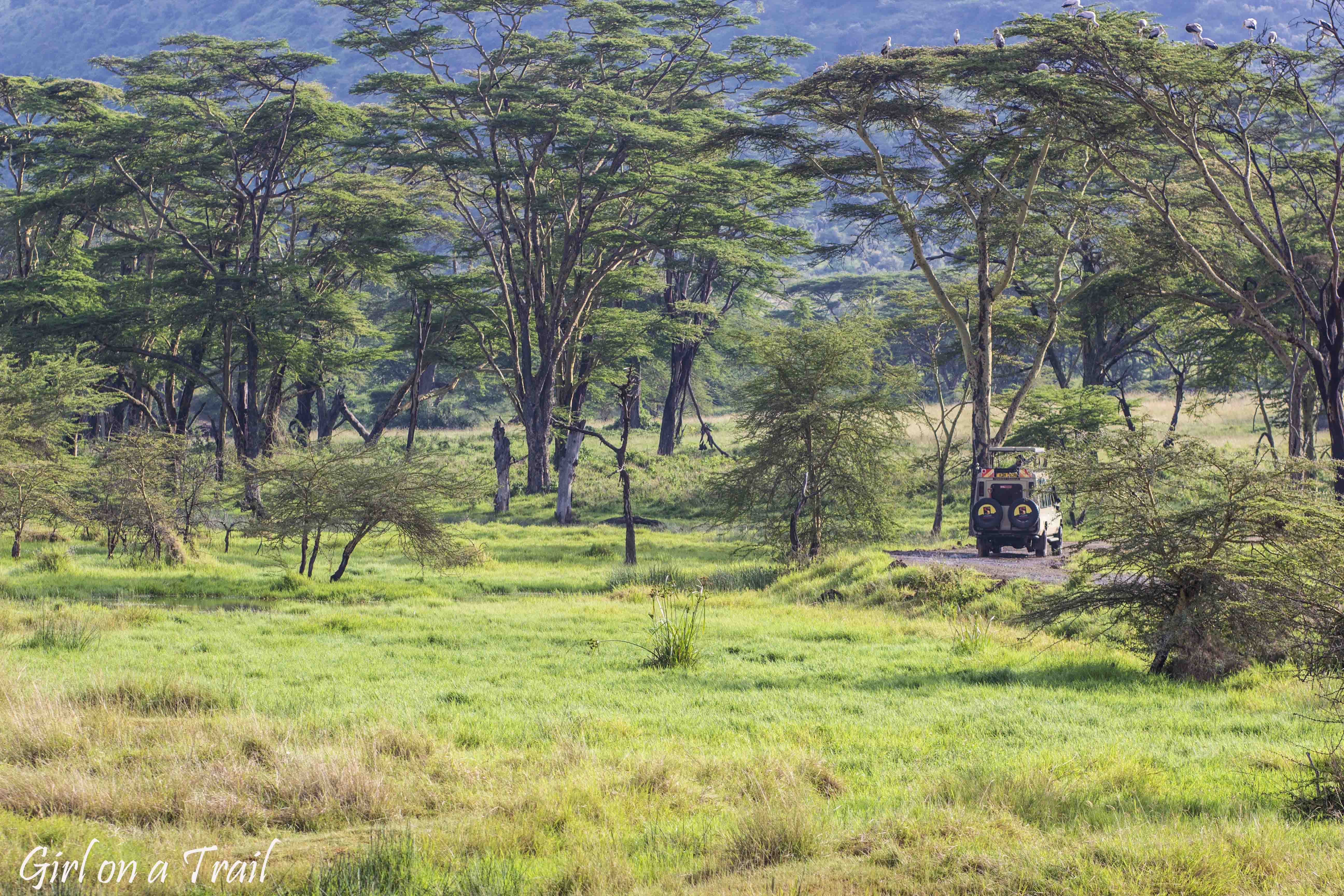 Jezioro Naivasha