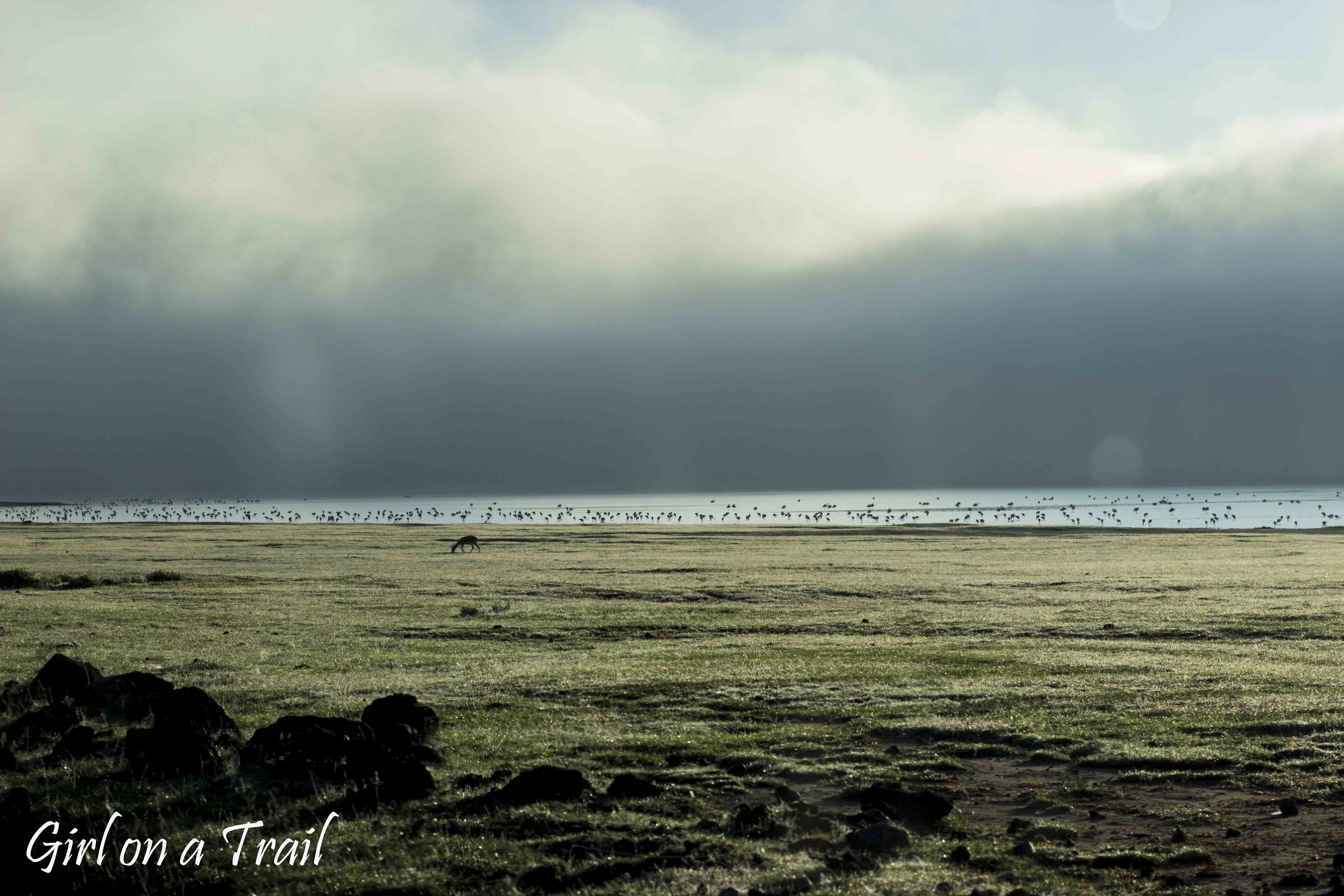 Tanzania, Ngorongoro