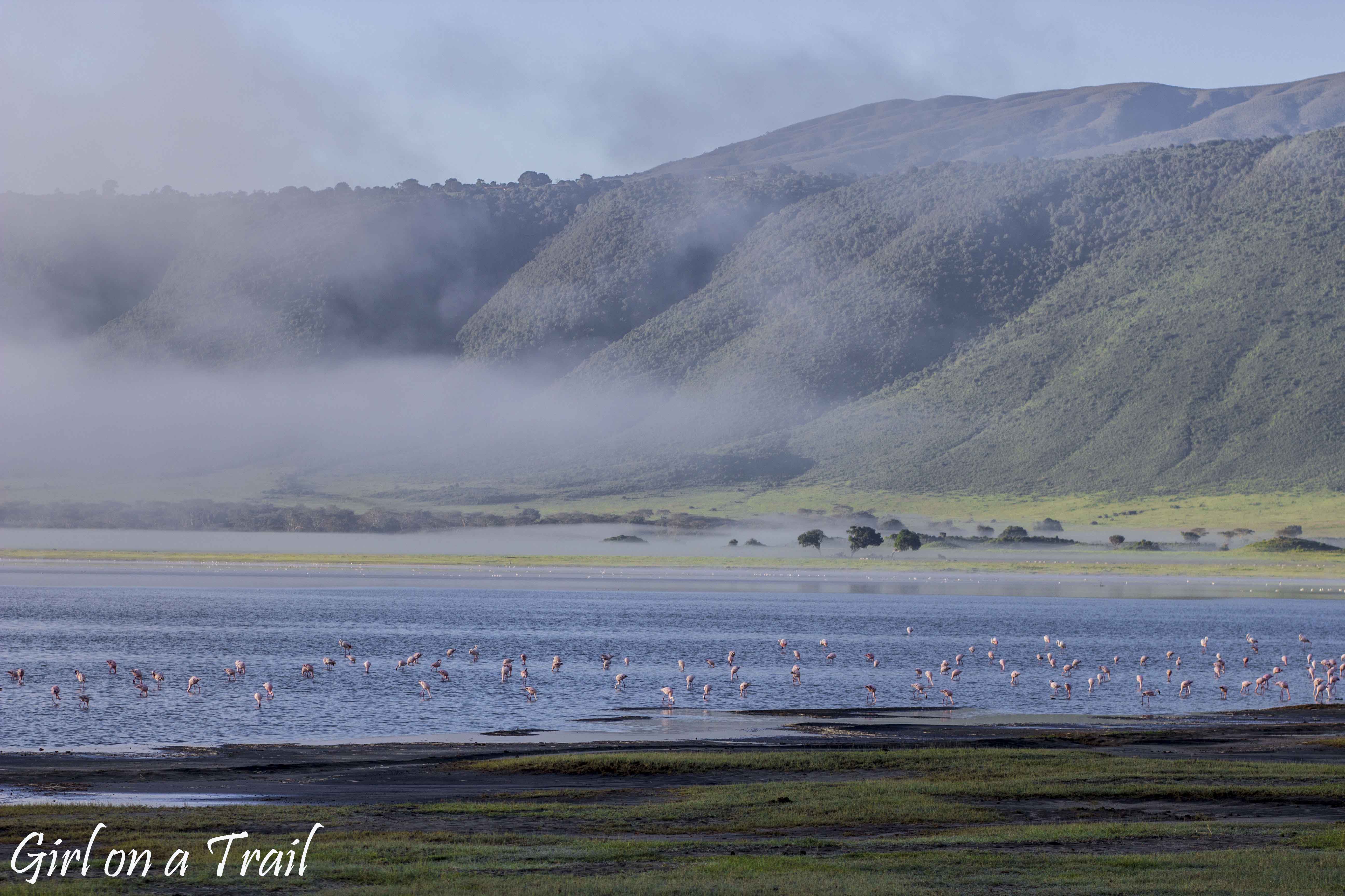 Tanzania, Ngorongoro