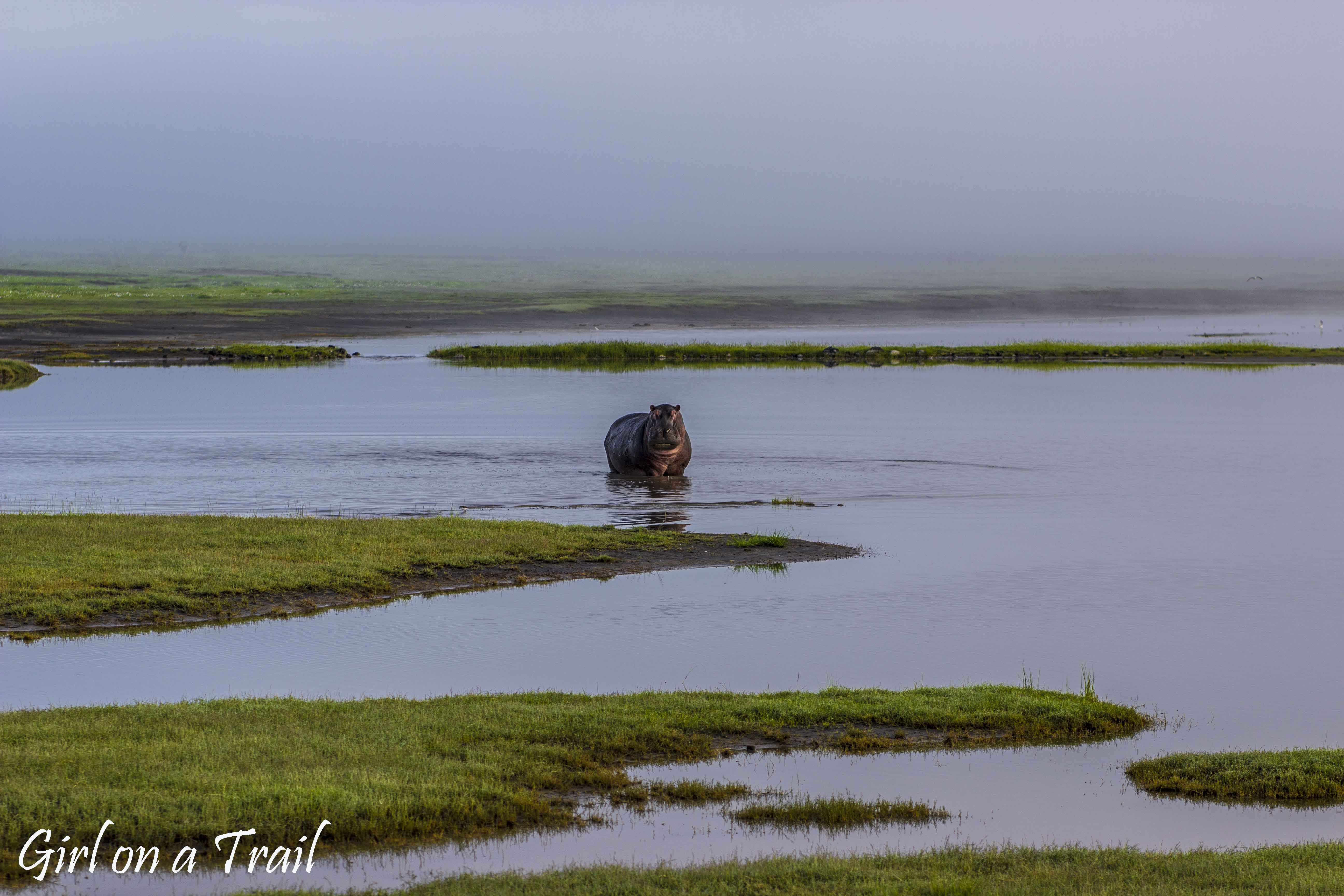 Tanzania, Ngorongoro