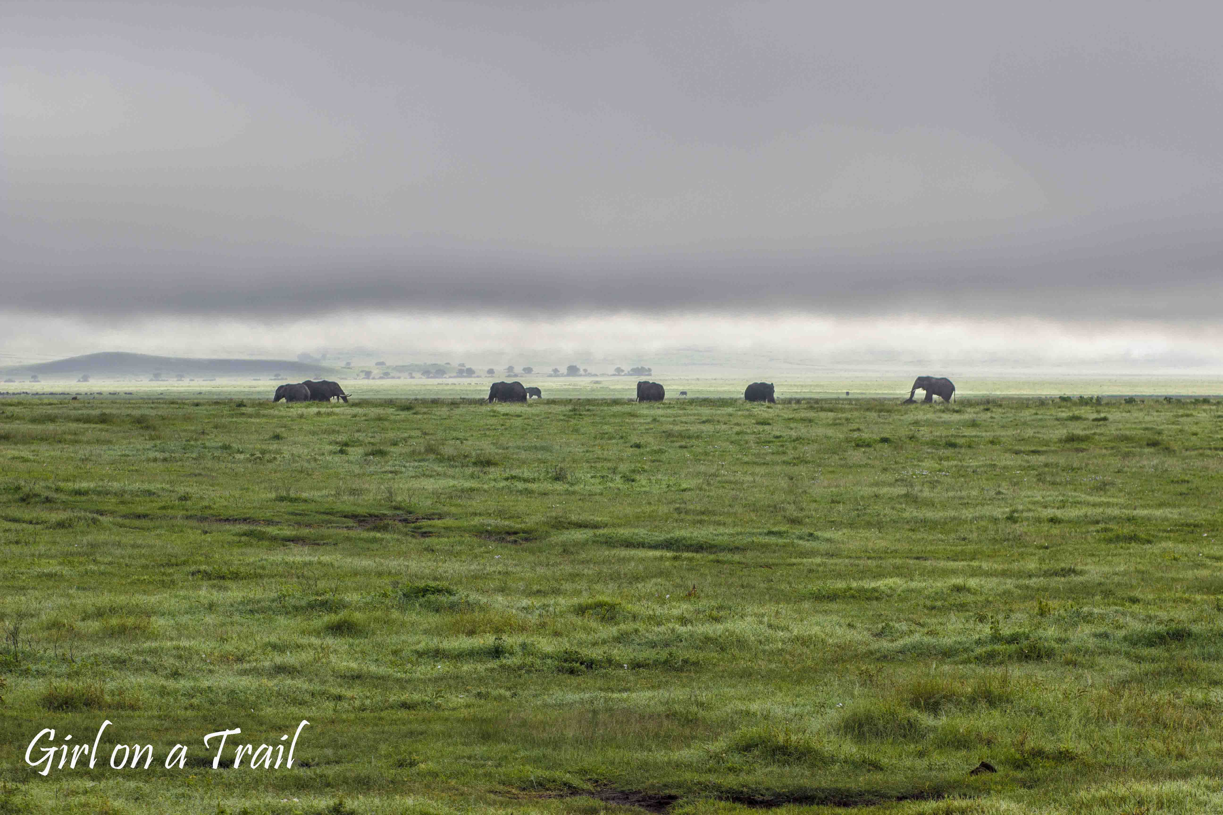 Tanzania, Ngorongoro