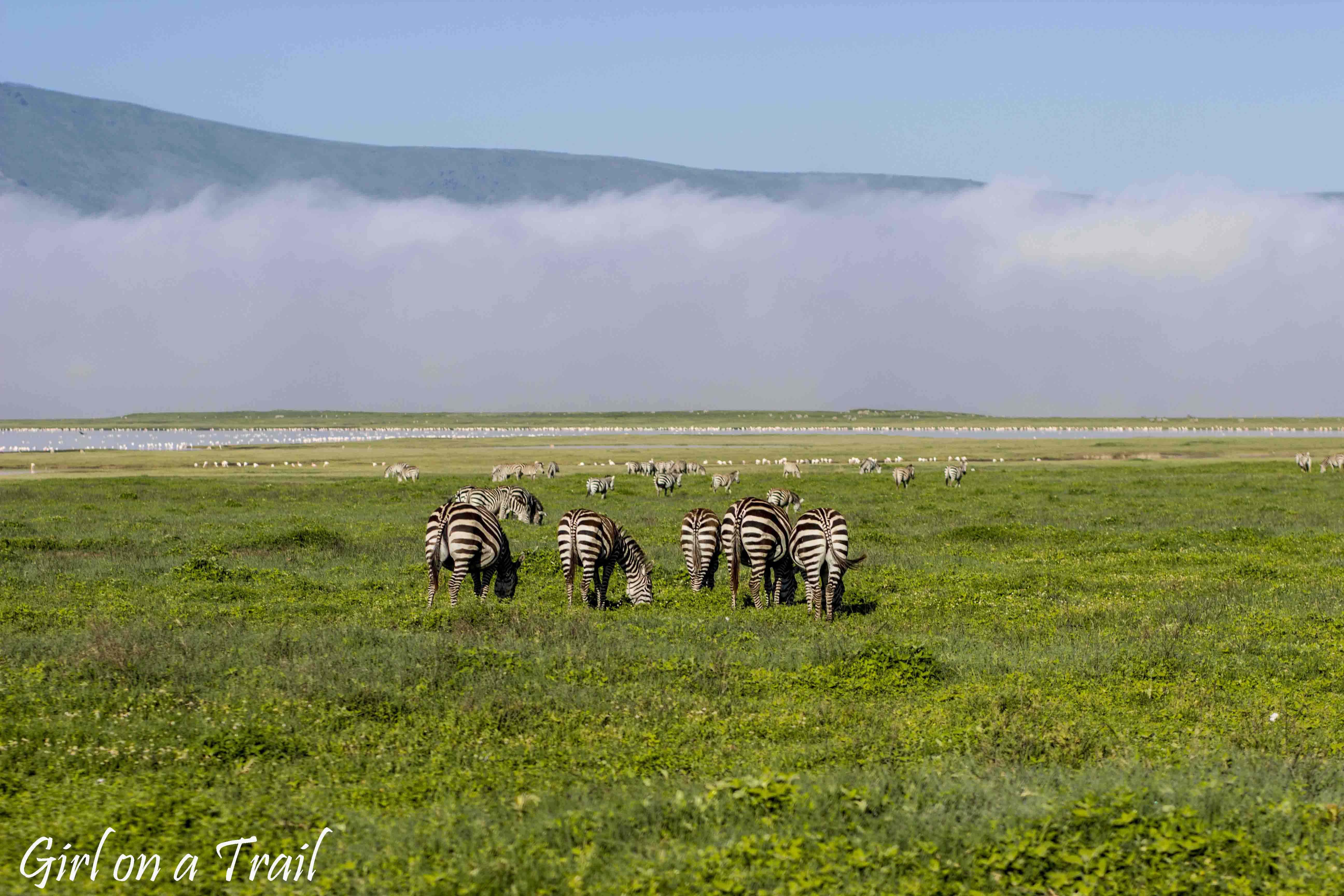 Tanzania, Ngorongoro