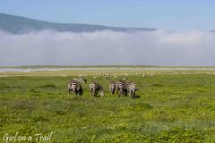 Tanzania, Ngorongoro