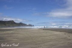 NZ-2025.11.95