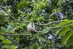 Panama City - Parque Natural Metropolitano