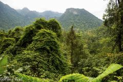 Wietnam - Phong Nha-Kẻ Bàng