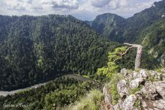 Pieniny - Sokolica