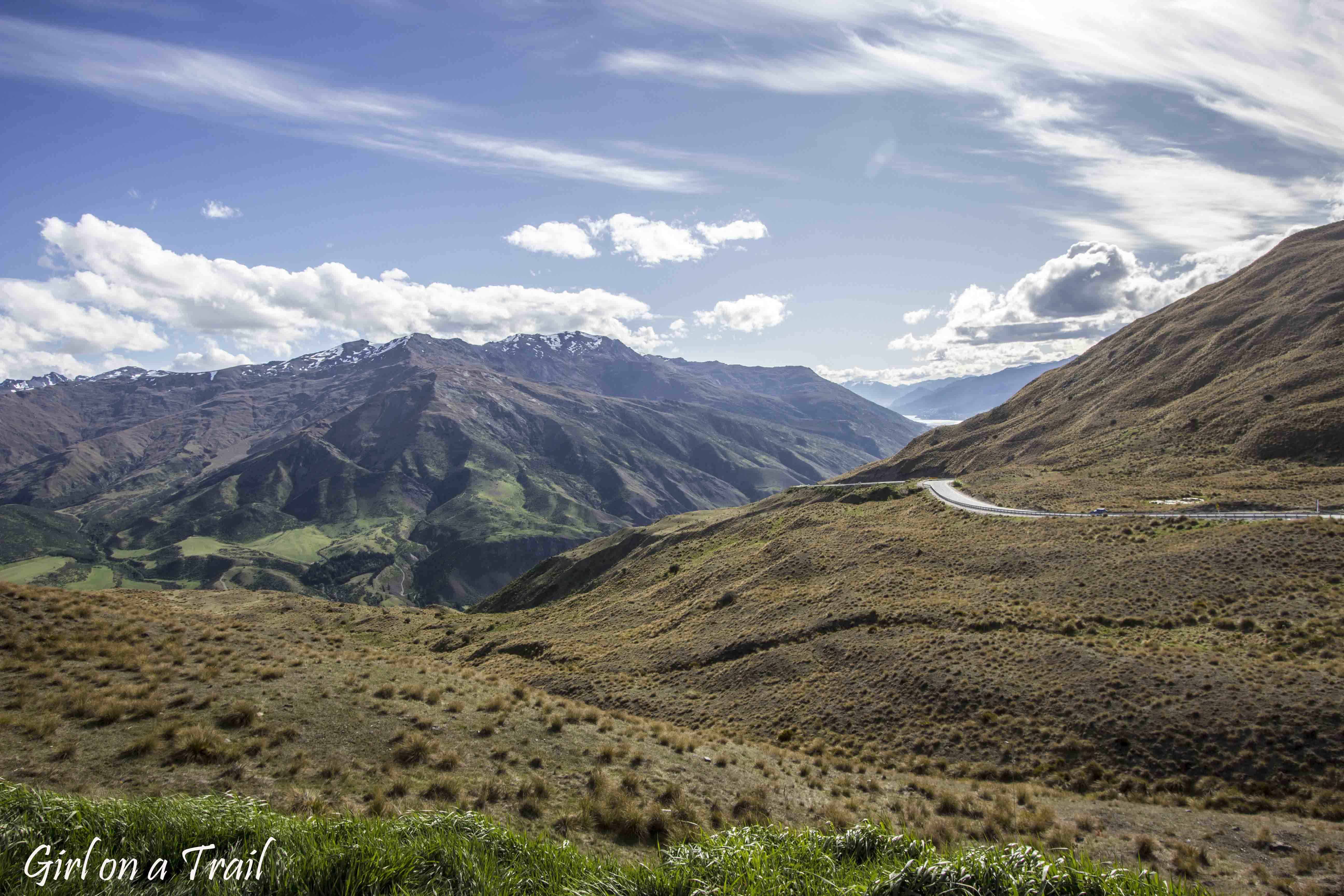 NZ-2025.11.706