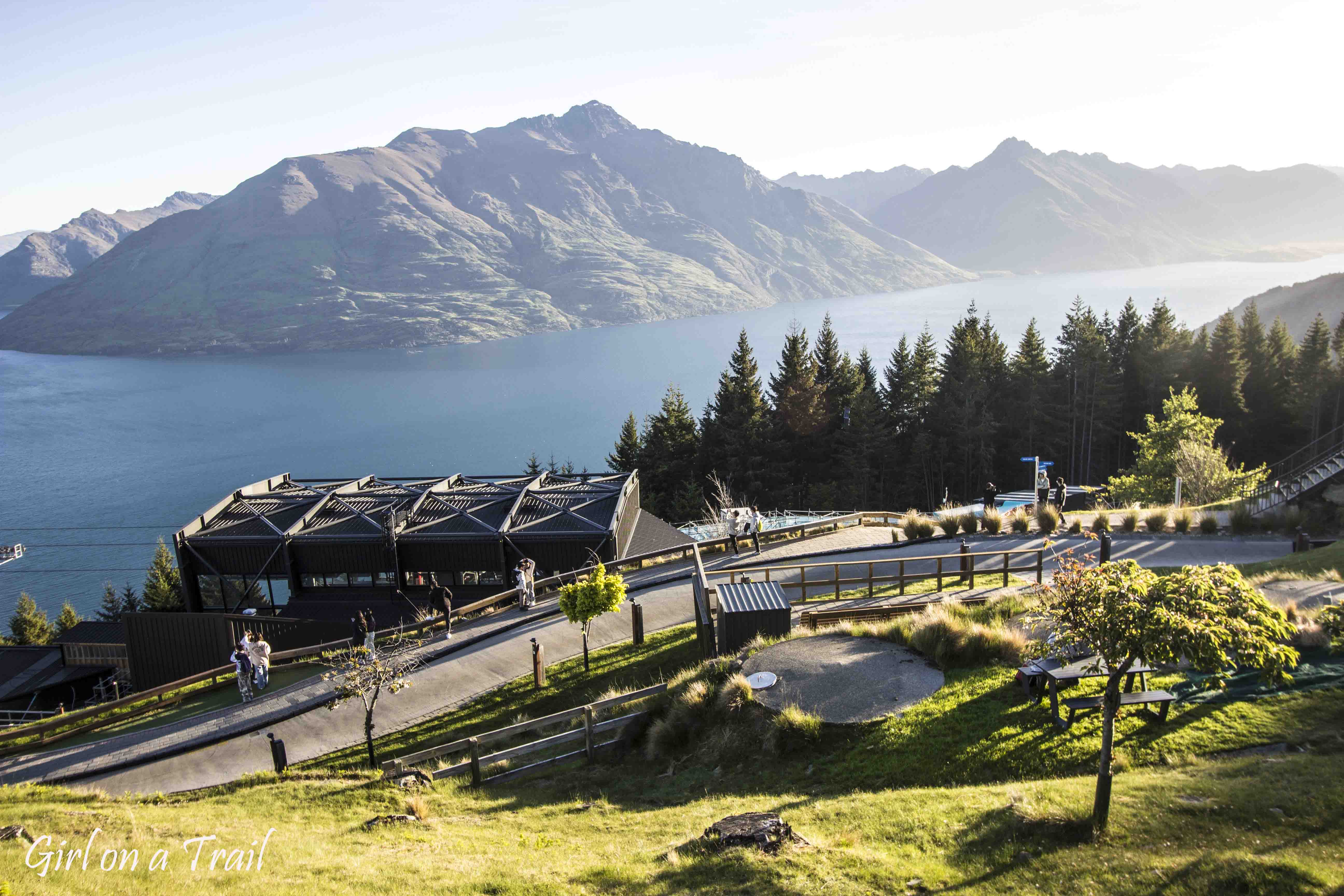 NZ-2025.11.828