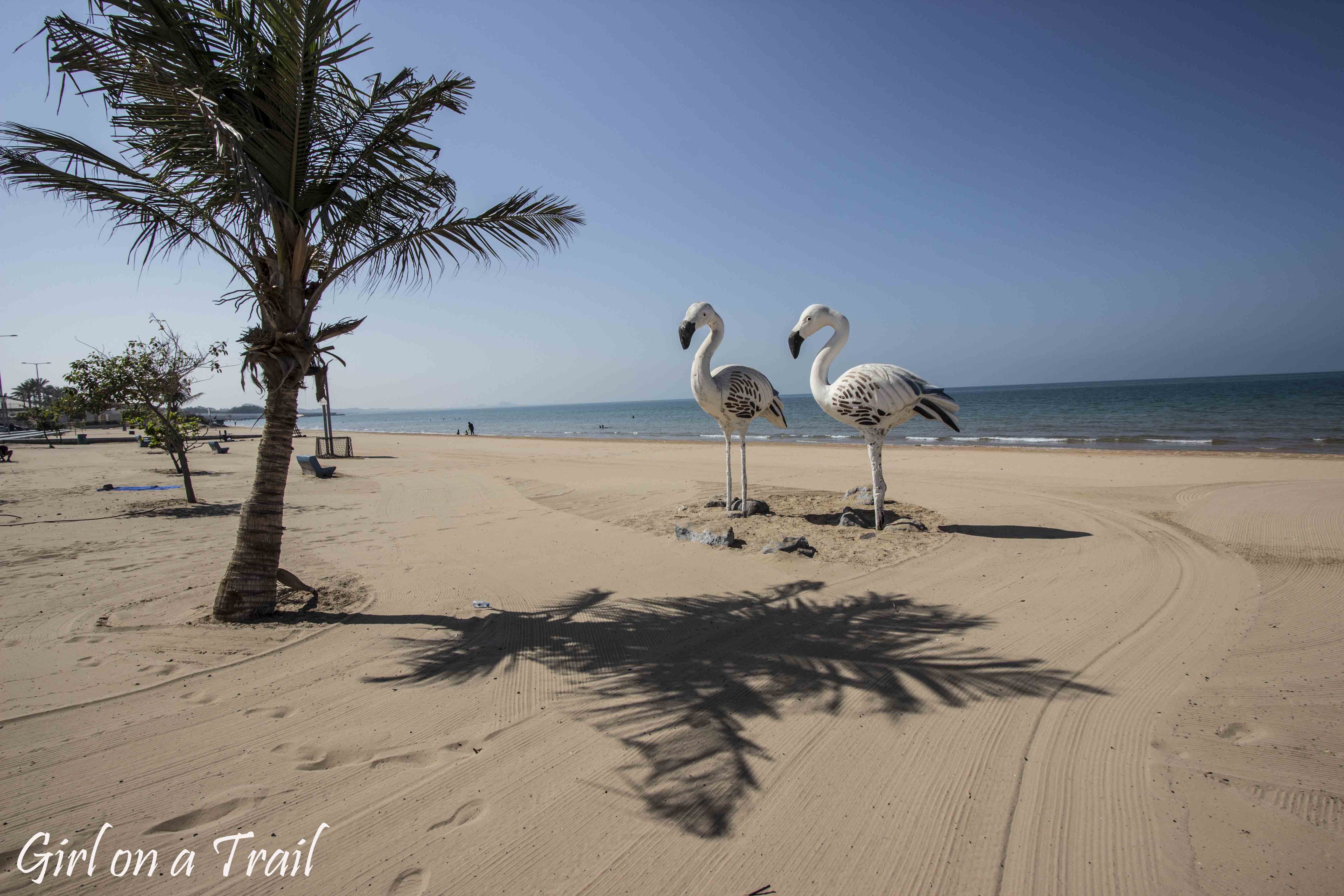 Ras Al Khaimah  - Flamingo Beach