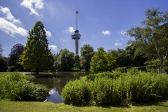 Rotterdam