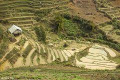 Vietnam - Sapa