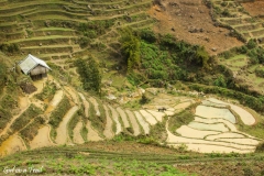 Vietnam - Sapa