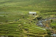 Vietnam - Sapa