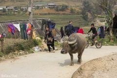 Vietnam - Sapa