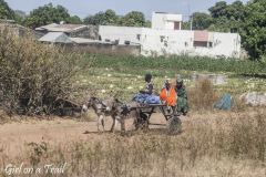 Senegal, rolnictwo