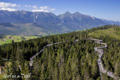 Slovakia, Treetop Walk in Bachledka