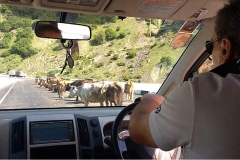 Gruzja/Georgia