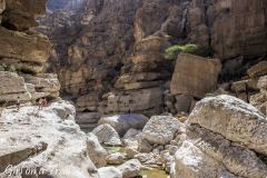 Oman- Wadi Shab