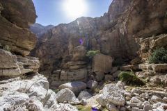 Oman- Wadi Shab