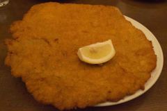 Wiedeń