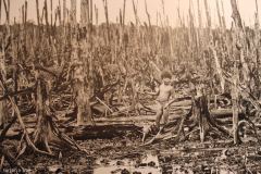 Wietnam - wojna/ Vietnam - war