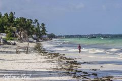 Tanzania, Zanzibar, Jambiani Beach