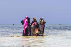 Tanzania, Zanzibar