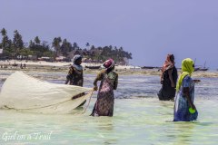 Tanzania, Zanzibar, Nungwi