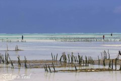 Tanzania, Zanzibar, Paje