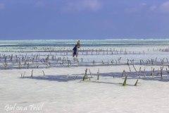 Tanzania, Zanzibar, Paje