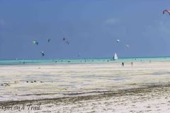 Tanzania, Zanzibar, Paje