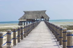 Tanzania, Zanzibar, Pongwe