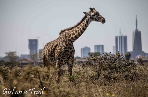 Nairobi