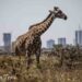 Nairobi